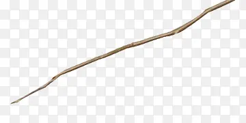 һ������֦װ��-������