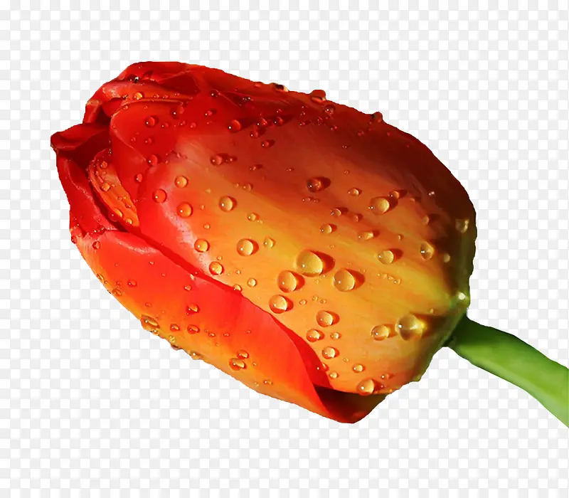 ��ɫ���Ƕ�-������