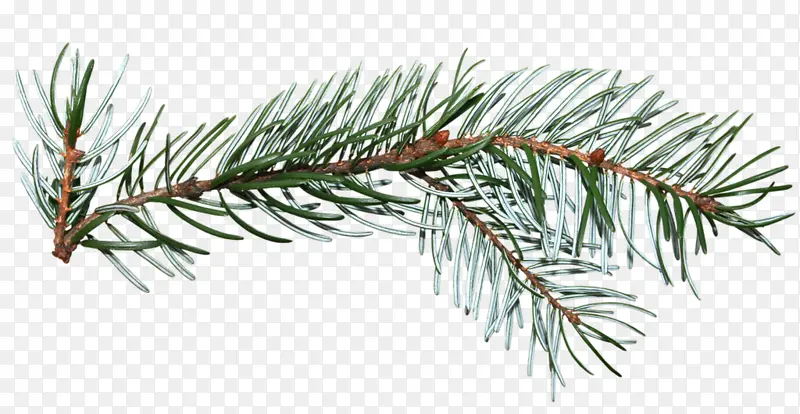 ������֦-������