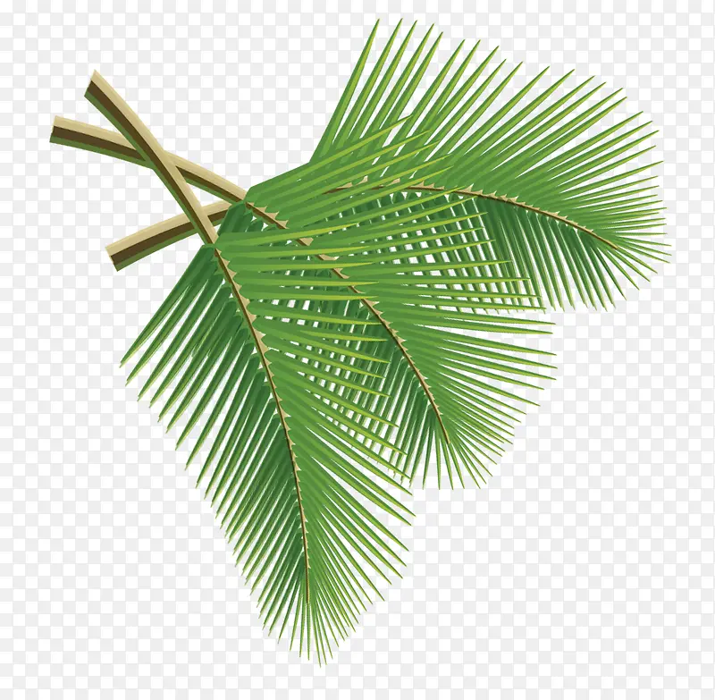 ��֦-������