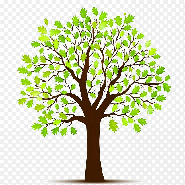 ��ͨ�ֻ�ӣ����-������