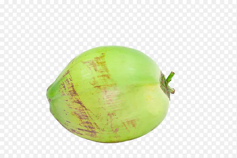 ��ɫҬ��-������