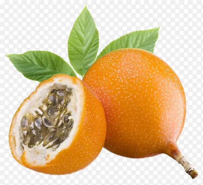 ������ͼƬ-������