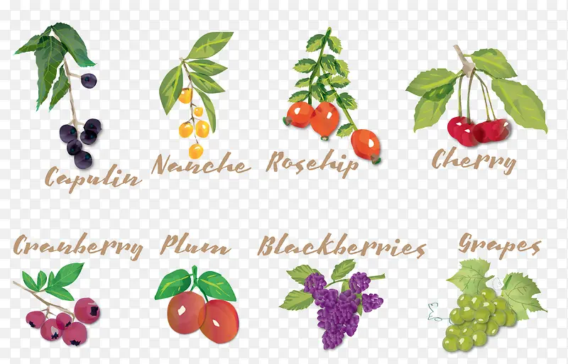 �ʻ�ˮ��-������