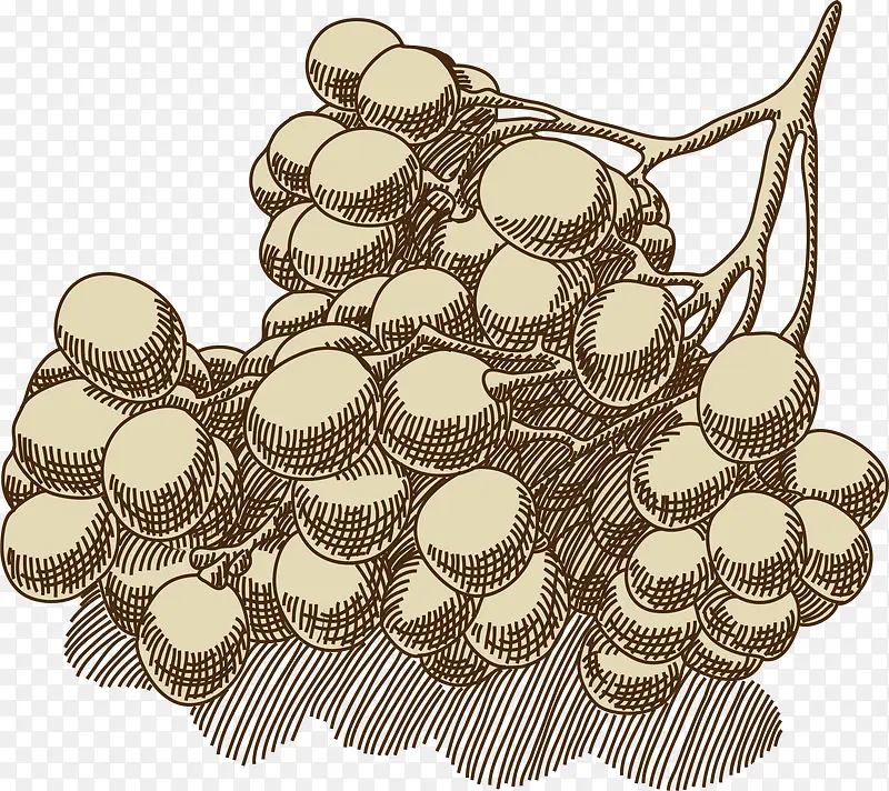 ���Ѿ�����ŷ����-������