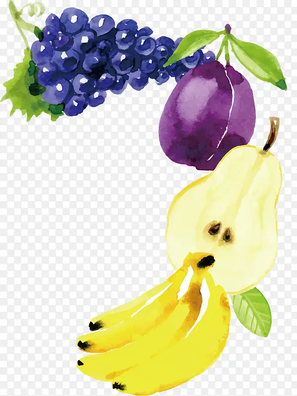 ˮ��ʸ������-������