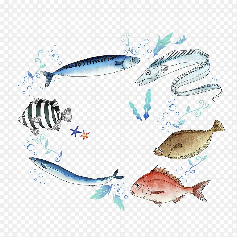 �ֻ溣���-������