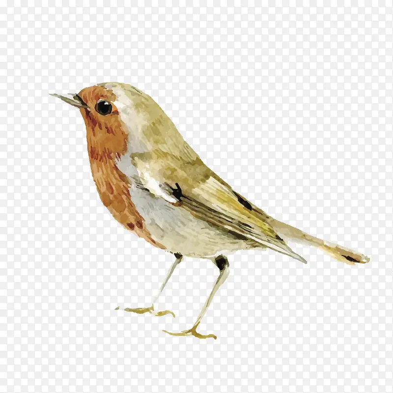 �ֻ���ȸPNG����-������