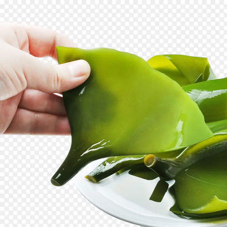 ���ú���-������