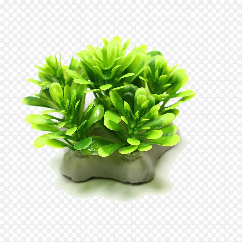 �����쾰����ˮ��ˮ���䲼��-������