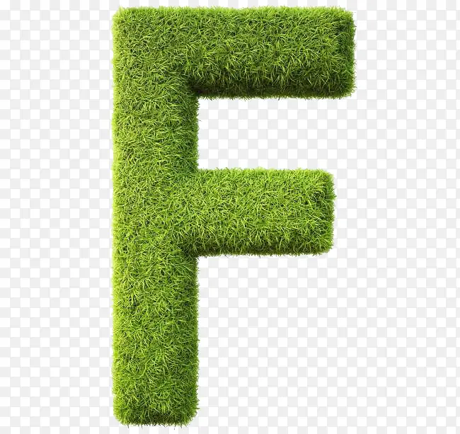 ����ɵ���ĸF-������