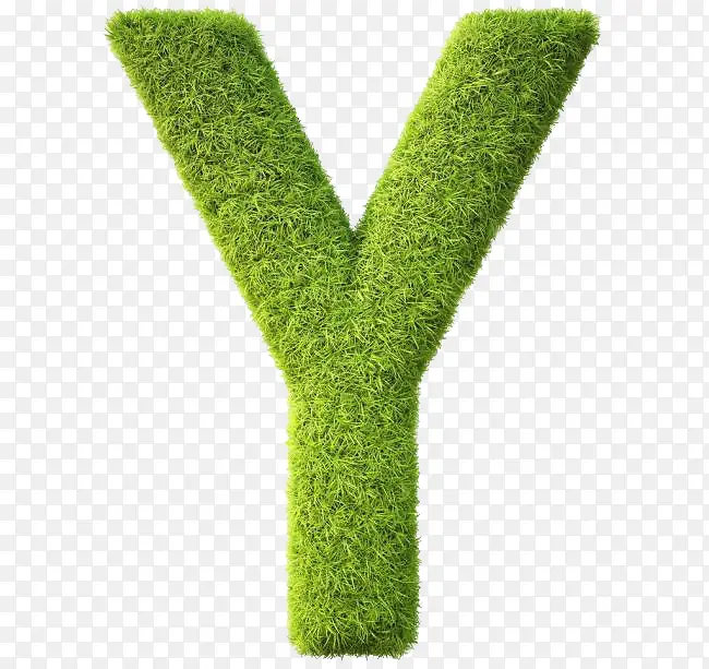 С����ɵ���ĸY-������