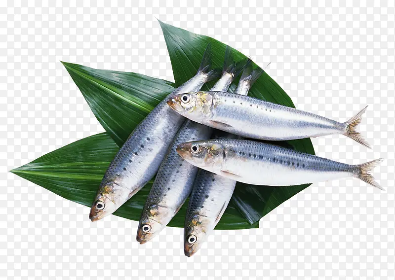 ˮ������Ӱ-������