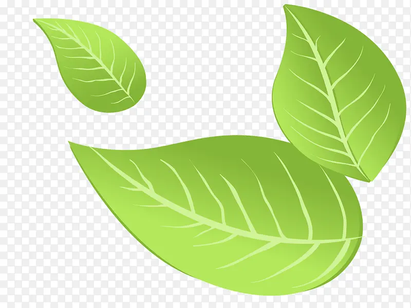 �ֻ洺����ɫ������ҶС����ai-������