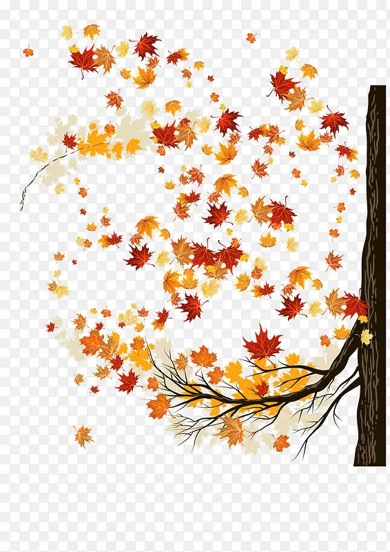 ��Ҷ��ʱ���-������