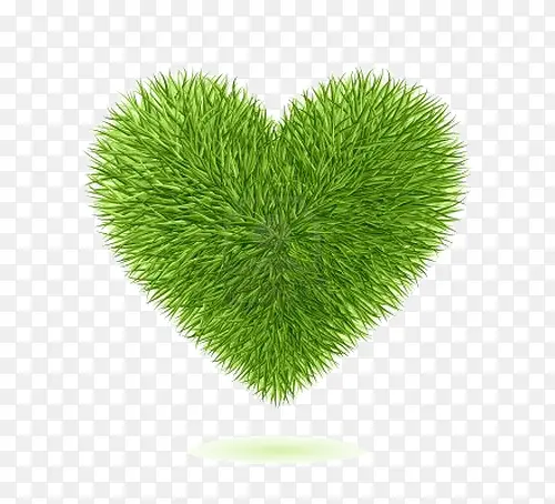 ��ɫ����-������