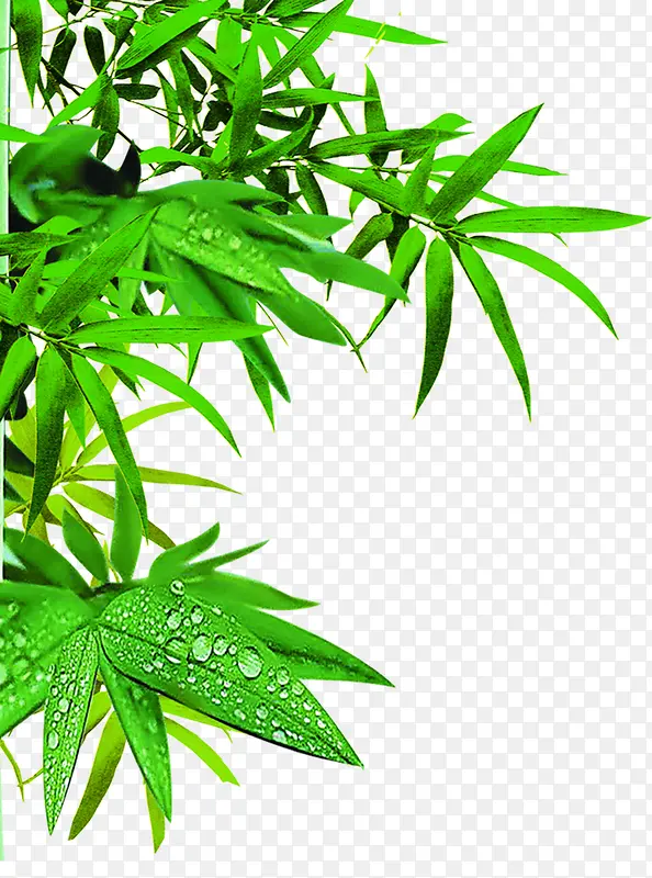 ������Ӱ���������-������