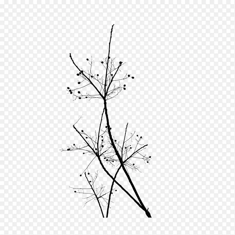 ֻʣ������֦������-������