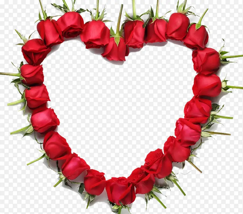 ���Ⱞ��õ�廨-������