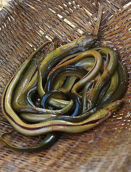 ����������-������