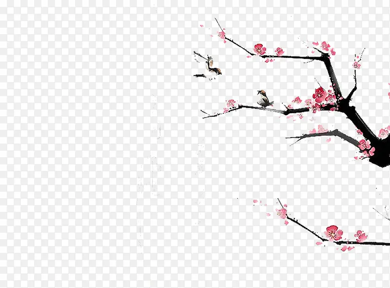 ˮī��÷��-������