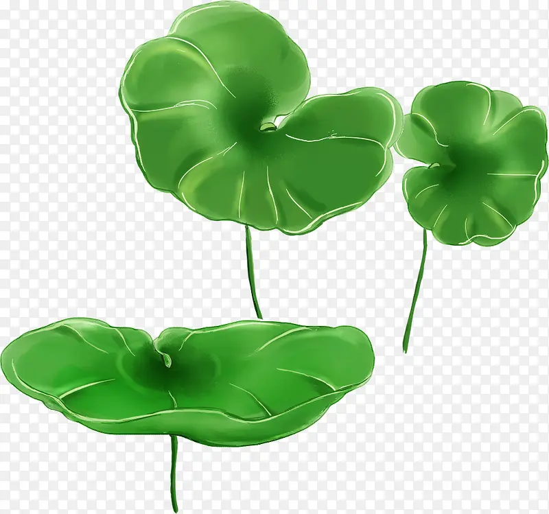 ��ͨ�ֻ����º�Ҷ-������