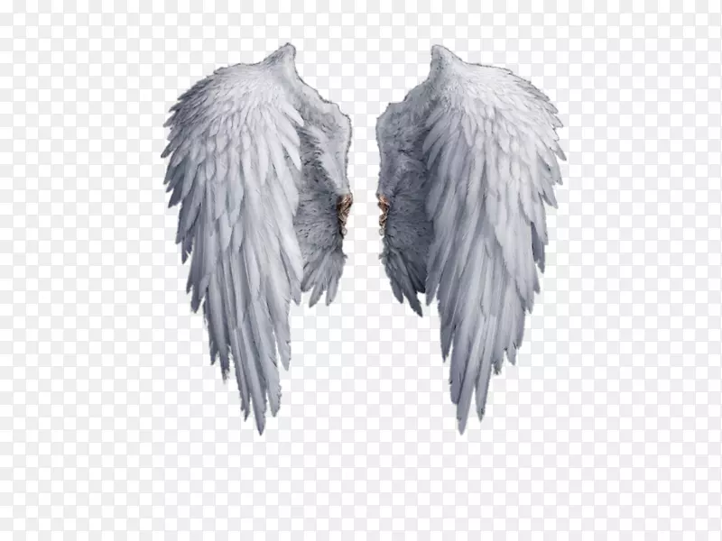 ��Ӱ������.��ʹ���-������