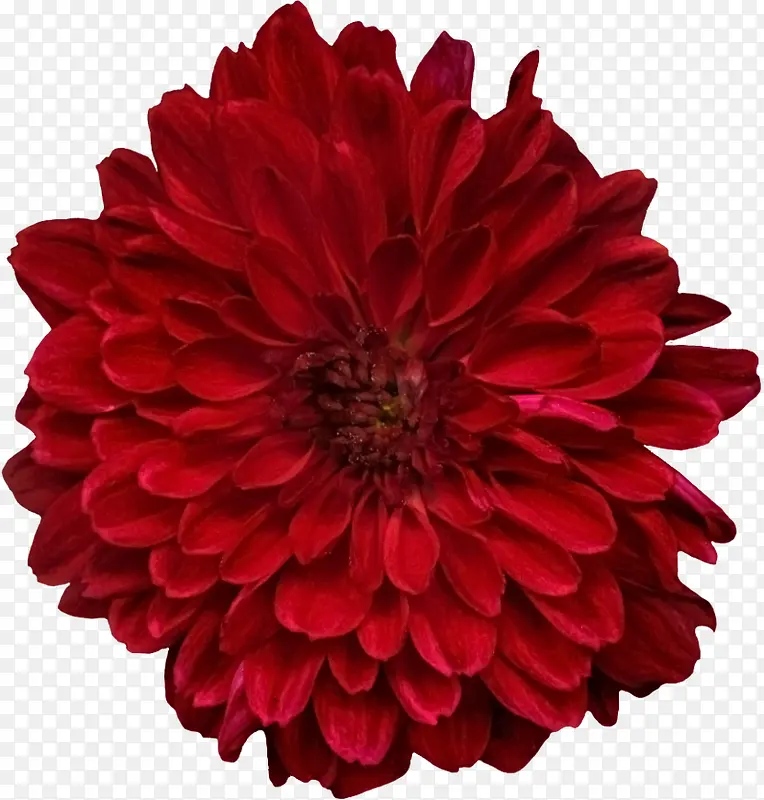 �����ʻ��ز�-������