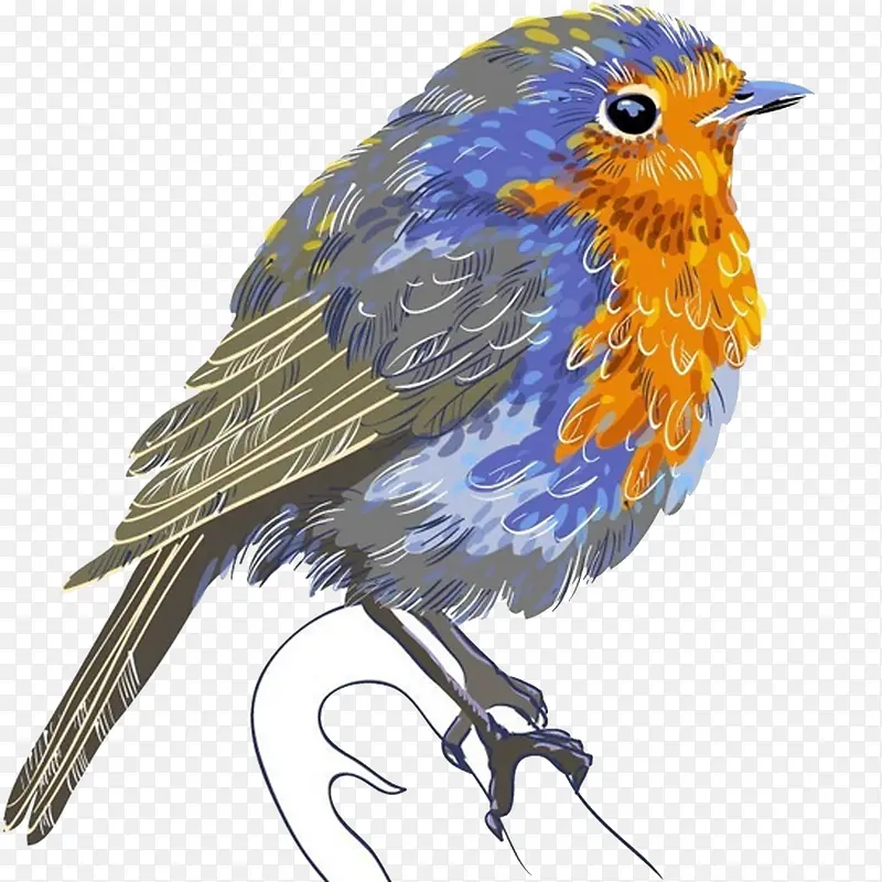 ˮ��С��ȸʸ������廭-������