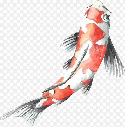 �����ز�-������