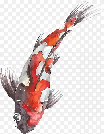 �����ز�-������