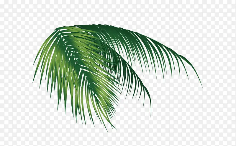 ��Ҷ-������