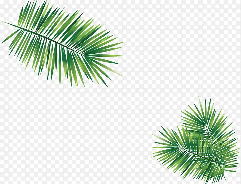 ����Ҭ����֦-������