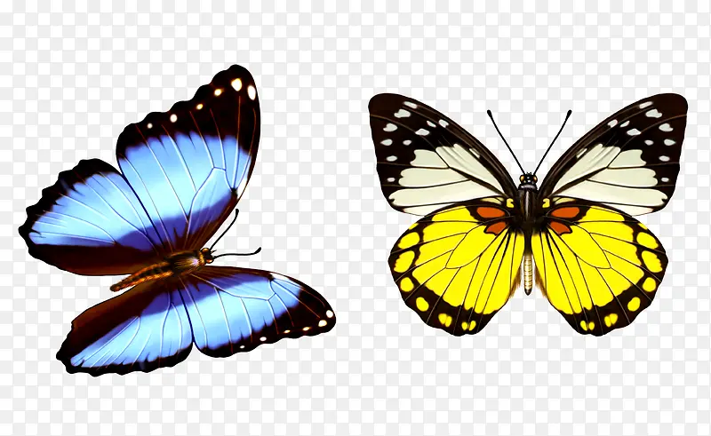 ����ɫ����-������