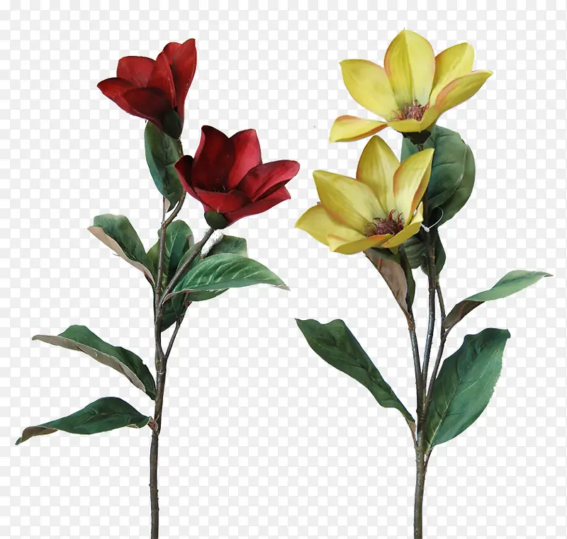 ������ͼƬ����ز�-������