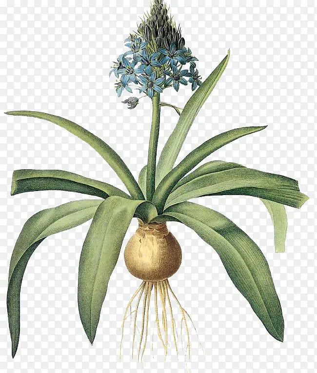 �ֻ������-������