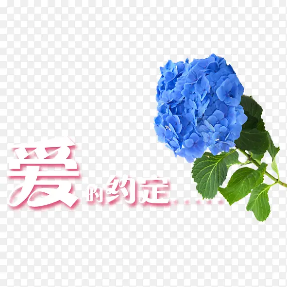 ����Լ��-������