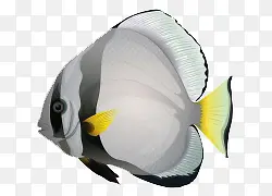 ��ͨ�ֻ濨ͨ��������-������