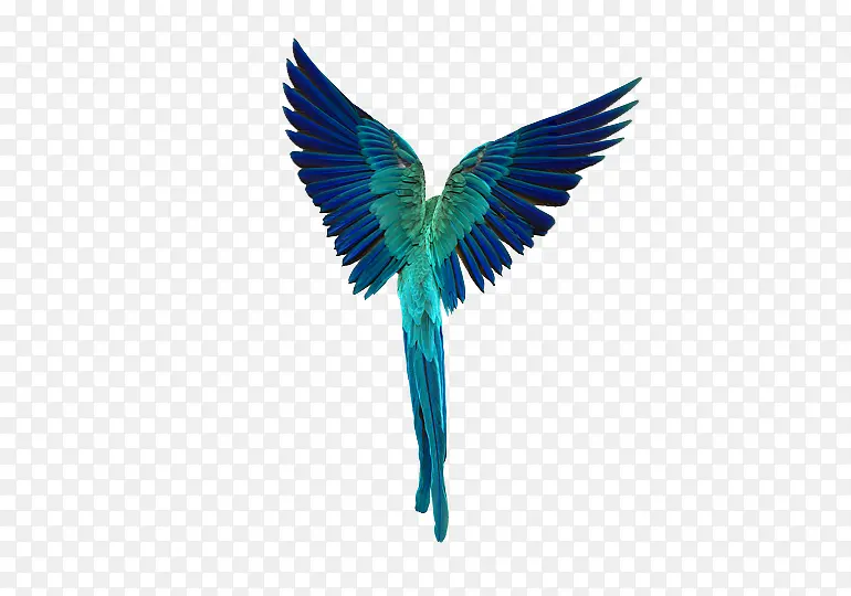 ɭ�ֶ���-������