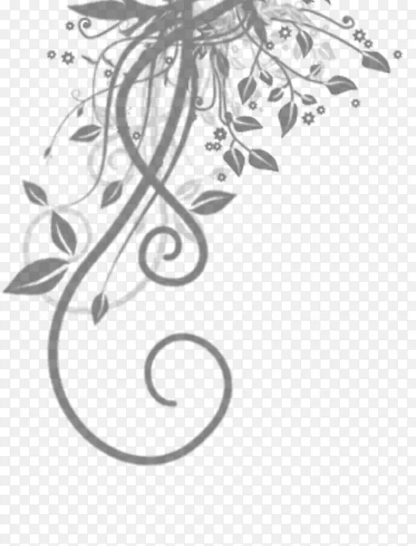 ͸����֦-������