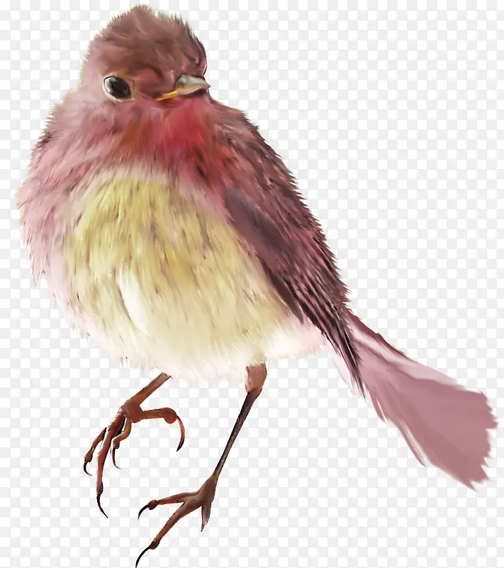 �ɰ��İ�����-������