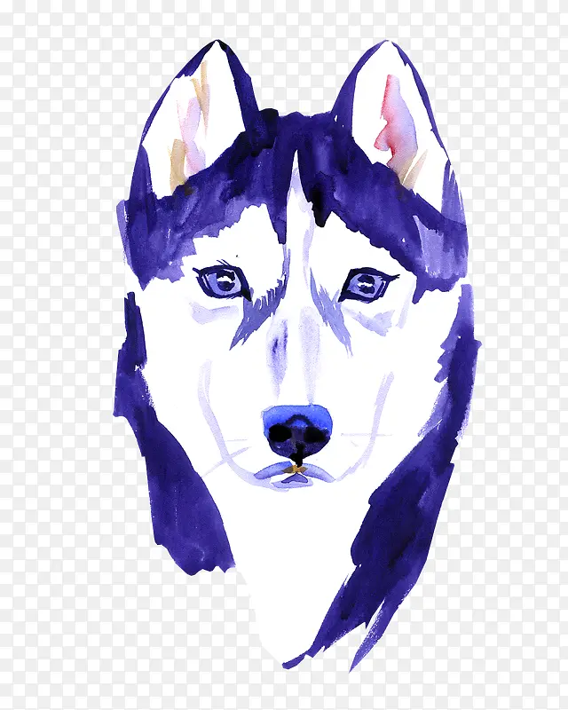 ��ͨ�ɰ�С����װ����ƶ���ͷ��-������