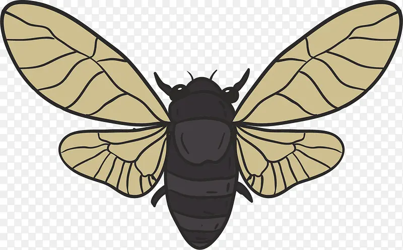 �������ʸ����ͨ��-������