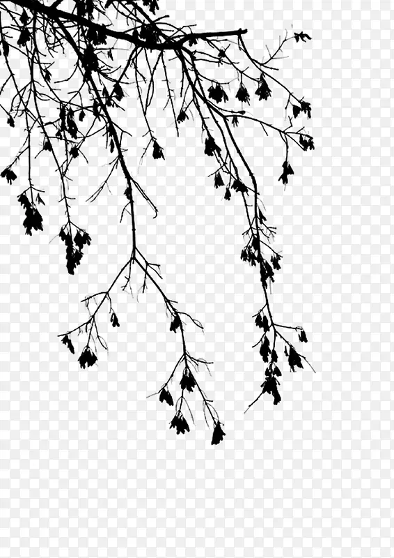 ��֦ ˮī�� �й���-������