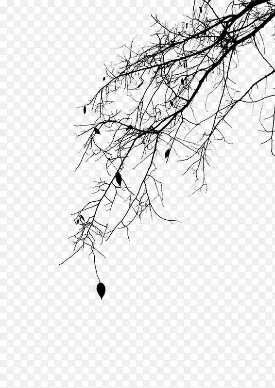 ��֦ ˮī�� �й���-������