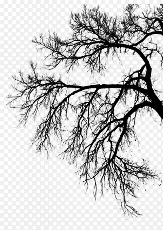 ��֦ ˮī�� �й���-������