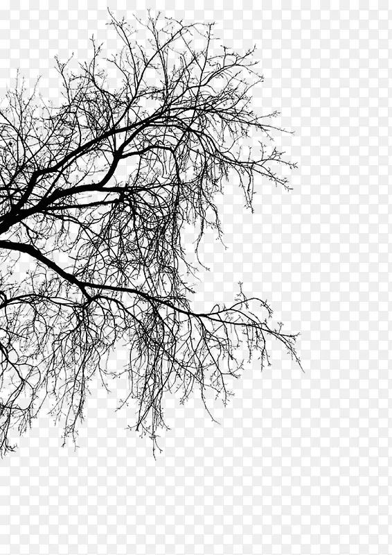 ��֦ ˮī�� �й���-������