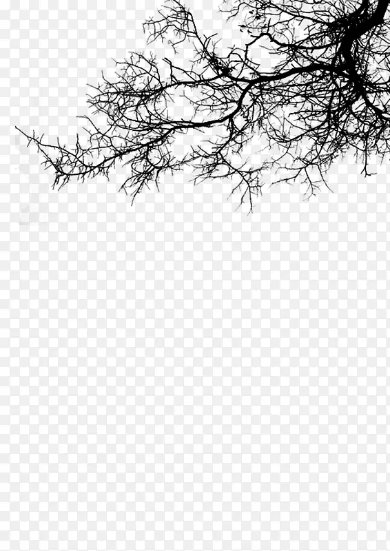 ��֦ ˮī�� �й���-������