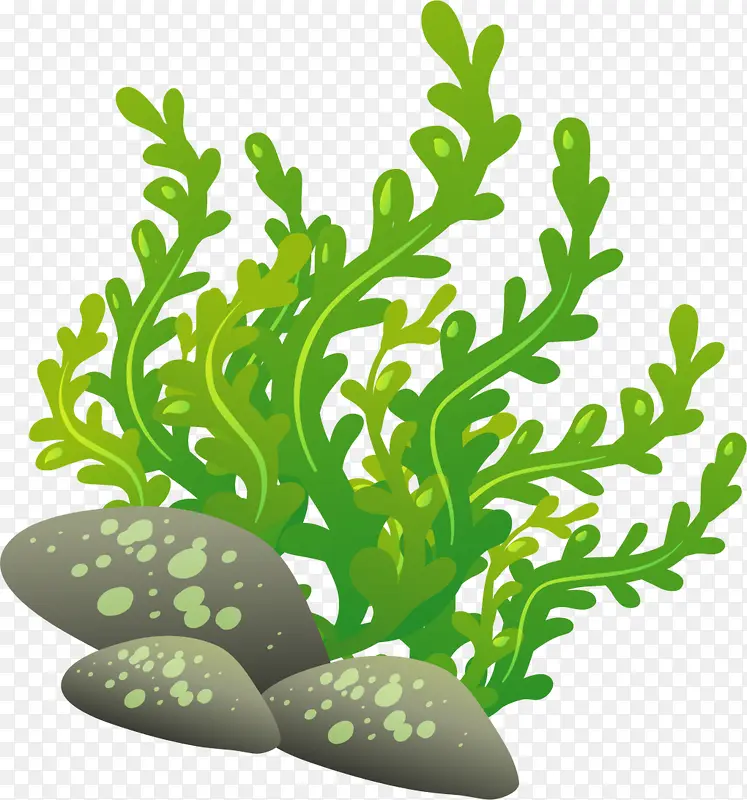 ���纣������ɫ����-������