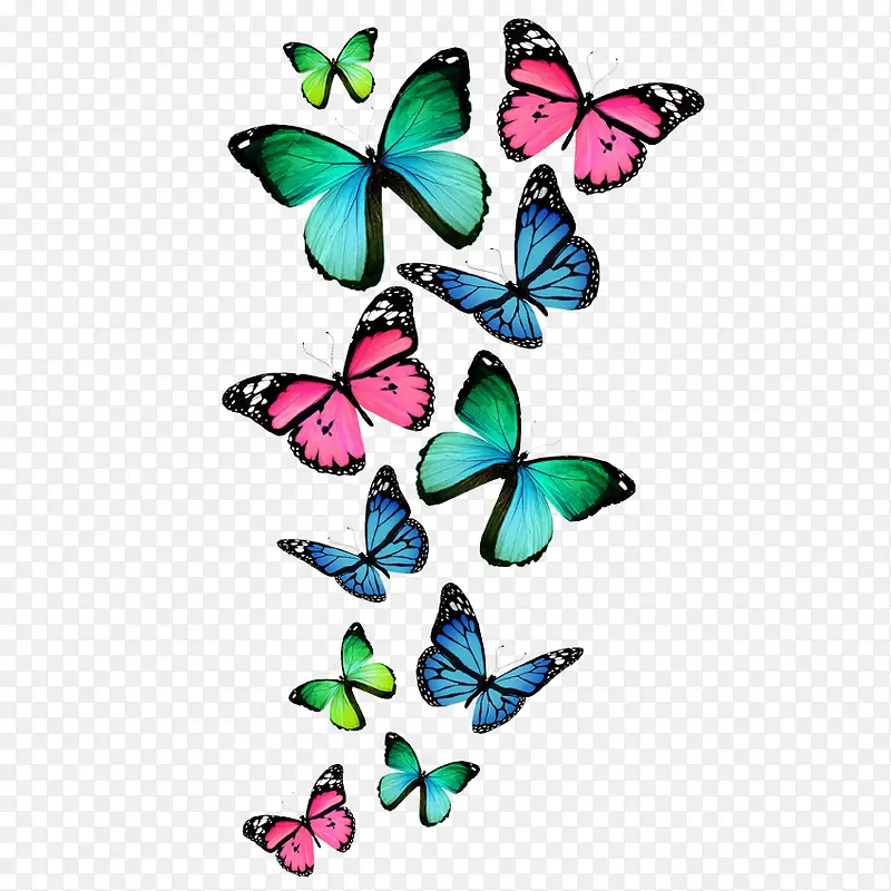 �ͷ׶�ʵĺ���-������